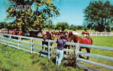 CAMBRIDGE, WI Wisconsin LAKE RIPLEY Horses~Boy~Fence JEFFERSON CO  1957 Postcard picture
