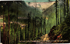 On the Great Northern Railway Near Scenic Washington Postcard picture