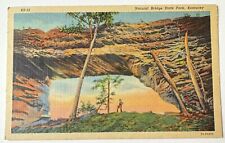 Vintage 1950S Postcard Natural Bridge State Park Kentucky Saint Louis Missouri picture