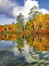 Postcard Maine Autumn Pond Reflections Upper Togue Piscataquis County MNT Unused picture