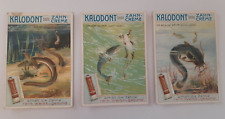 Kalodont toothpaste antique lithographic advertising trade cards 3 pieces 1880's picture