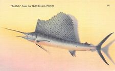 D1811 Sailfish from the Gulf Stream, Florida FL - Linen Postcard, Tichnor Bros. picture