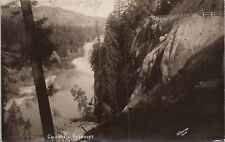 RPPC Requa California Cliffside Road & California Redwoods Canyon 1923 picture