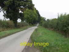 Photo 6x4 Domgay Lane Remarkably straight for a rural lane, fine trees to c2007 picture