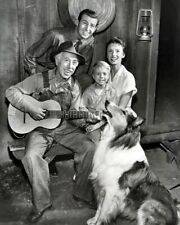 Lassie 1950's TV series June Lockhart Tommy Rettig cast with Lassie 8x10 photo picture