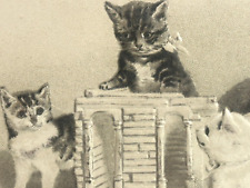 Helena Maguire Cat Postcard Sepia Tone Wooden Blocks House Builders Watchers picture