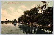 Buckeye Lake Ohio~Shady Waterfront Walk~Home in Distance~1908 Postcard picture