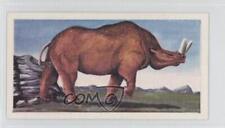 1962 Coopers Tea Prehistoric Animals Brontotherium #4 a8x picture
