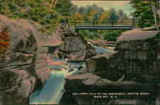 Postcard: UPPER FALLS OF THE AMMONOOSUC, BRETTON WOODS. WHITE MTS picture
