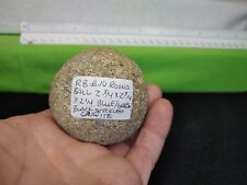 Authentic Native American Game Ball made of speckled Granite. picture