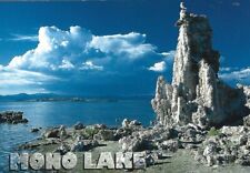 MONO LAKE CALIFORNIA STATE PARK, one of the oldest lakes Postcard picture