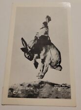 Vintage Sunfishin C.D. Conard Bronco  Bucking Bunny Postcard Postmarked 1953  picture