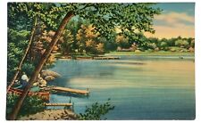 Greetings From Miltona Minn Minnesota Postcard Vintage Nyce Quality Colored MN picture