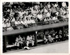 PF26 1951 Original Photo FRANKIE FRISCH OUSTED FROM GAME CHICAGO CUBS DUGOUT picture