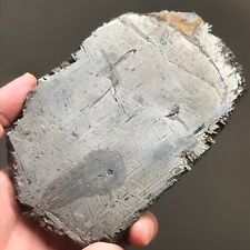 100% Aletai Iron Meteorite 1362.1 Grams End-Cut Etched Fusion Crust Sealed Glaze picture