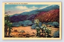 Postcard Cholla Cactus Flower Desert 1938 Posted Linen Altadena CA picture