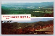 Greetings From Skyline Drive, Va Postcard 1686 picture