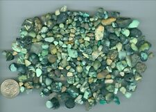 191 Grams of Natural American New Lander Mine Turquoise Rough Nevada Turquoise picture