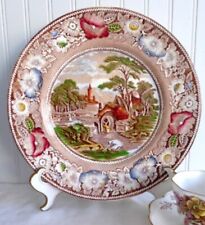 N. R.  Midwinter LTD Rural England China 10” Plate Floral Design On Rim picture