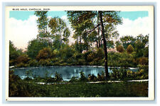 c1940s Grass and Trees Scene, Blue Hole, Castalia Ohio OH Unposted Postcard picture