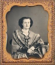 Pretty Young Lady With Freckles Wearing Fur Scarf 1/6 Plate Daguerreotype T316 picture
