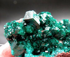 GORGEOUS RARE TSUMEB SW AFRICA EMERALD GREEN DIOPTASE CRYSTAL SPECIMEN 7.5x7.2cm picture