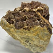 LARGE Summerville Crazy Lace  Agate Rough Raw Banded Light colors picture