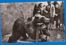 Pyrenees mountains, France, Exposition of a hunted bear, old Real photo postcard picture