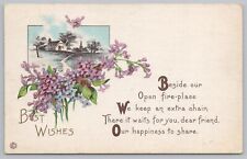 Stecher~425 D~Best Wishes~Violets~Bird Flying Over Lake House~PM 1915 Postcard picture