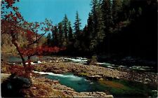 Fall Time Perfect Spot Scenic Forestry Flowing River Islands Postcard Unused UNP picture