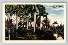 FL-Florida, Scenic, Give Species Palms, Vintage Postcard picture