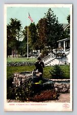 Wequetonsing MI-Michigan, A Flowing Well, Antique, Vintage Postcard picture