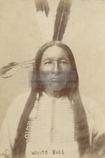 WHITE BULL NATIVE AMERICAN KILLED GEORGE CUSTER LITTLE BIGHORN 4X6 POSTCARD picture
