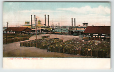 Postcard Vintage The Cotton Wharf in Mobile, AL picture