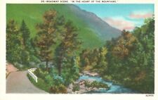 Vintage Postcard 1930's Roadway Scene 