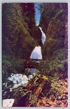 Wah-Kee-Nah Falls, Columbia River Highway, California Postcard S067 picture