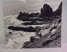 16X20 Original B&W Print Photograph Matted Beach nature Interior Un-Signed  picture
