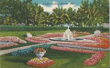 Postcard FL Florida St Petersburg Sunken Gardens Linen 1949   picture