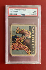 1933 Tootsie Circus THE CAMEL (PSA 1)  picture
