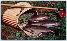 Postcard - Mountain Trout picture