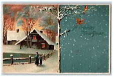 c1910's New Year House Birds Winter Snow Embossed Unposted Antique Postcard picture