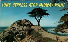 Midway Point Cypress- Carmel California Vintage Postcard spc4 picture