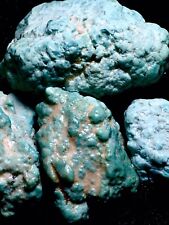 ~X - 6 Vintage USA Nevada Turquoise Fox Mine.  Natural, hard,stable, legit picture