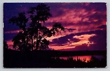 Sunset Scene Vintage Posted 1953 Rochester Minnesota Postcard picture
