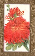 Vintage Postcard Large Print Daisies With Golden Border Greetings Wishes Card picture
