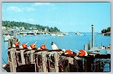 c1960s New Harbor Miane Fishing Village Lobstering Vintage Postcard picture