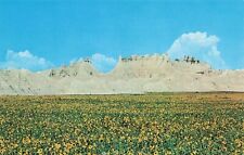 Postcard Bad Lands National Monument In South Dakota Sunflower Fields Post Cards picture