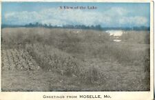 A View of Lake. Greetings From Moselle, Mo. Missouri Postcard. Near St. Clair picture