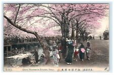 1911 Cherry Blossoms In Edogawa Tokyo Japan Early Postcard picture