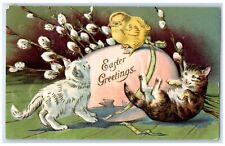 1908 Easter Greetings Egg Chick Cat Pipe Berry Embossed Winchester MA Postcard picture